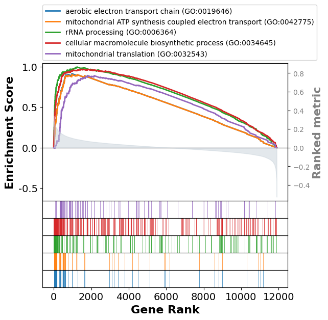 ../../_images/scripts_3_analysis_scripts_9B_velocity_loom_11_1.png