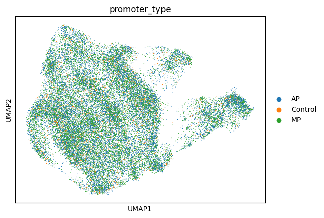 ../../_images/scripts_3_analysis_scripts_9A_cnv_score_8_2.png