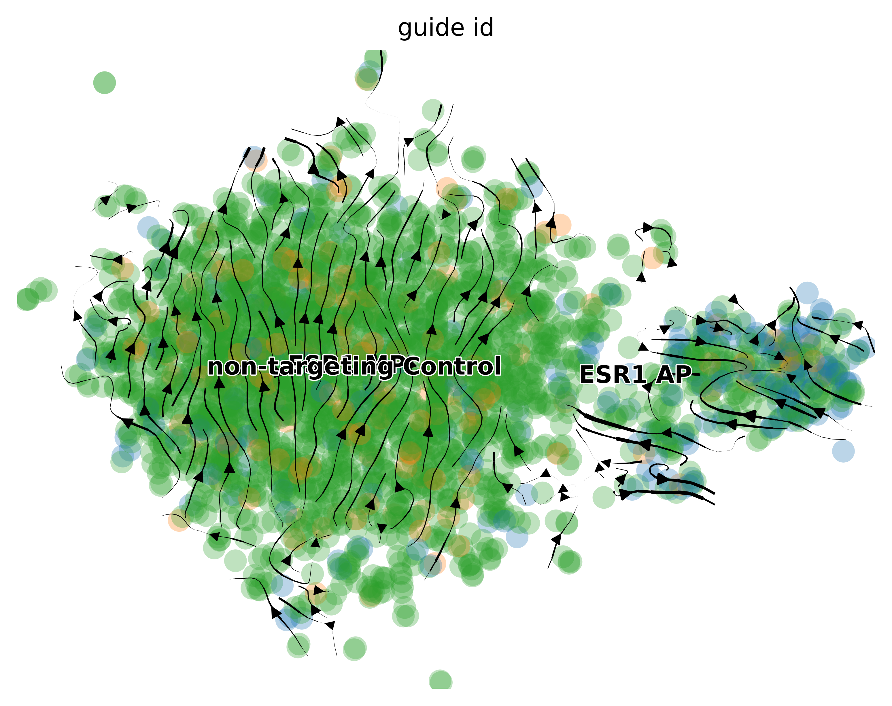 ../../_images/scripts_3_analysis_scripts_9B_velocity_loom_10_2.png