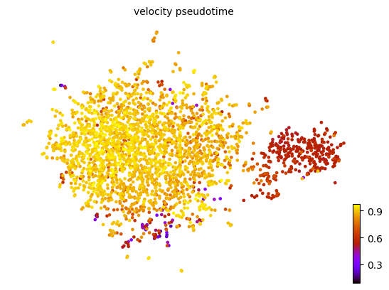../../_images/scripts_3_analysis_scripts_9B_velocity_loom_10_5.png