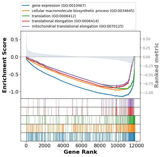 ../../_images/scripts_3_analysis_scripts_9B_velocity_loom_13_1.png